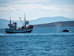 20200816-Sigluffjördur-0281.jpg