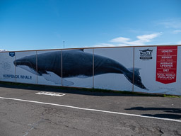 20200816-Sigluffjördur-1169.jpg