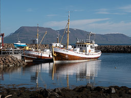 20200816-Sigluffjördur-1190.jpg