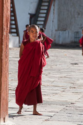 091102Himalaya4754.jpg