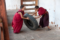 091102Himalaya4761.jpg