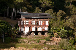 091102Himalaya4799.jpg