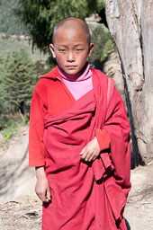 091103Himalaya4955.jpg