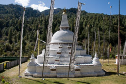 091103Himalaya5020.jpg
