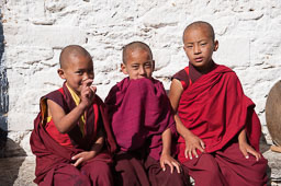 091105Himalaya5973.jpg