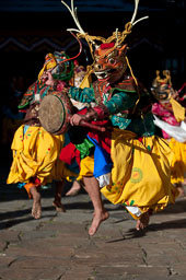 091105Himalaya7085.jpg