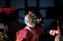 091105Himalaya7231.jpg