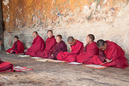 091106Himalaya7431.jpg