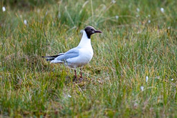 20210812Boreal_Tag2-0121.jpg