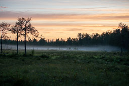20210812Boreal_Tag2-0144.jpg