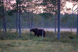 20210812Boreal_Tag2-0147.jpg