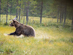20210812Boreal_Tag2-0217.jpg