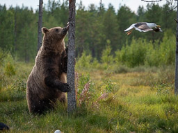 20210812Boreal_Tag2-0264.jpg
