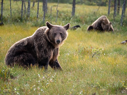 20210812Boreal_Tag2-0393.jpg