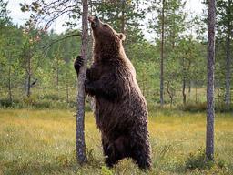 20210812Boreal_Tag2-0681.jpg