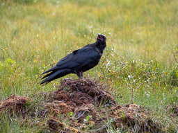 20210812Boreal_Tag2-0715.jpg