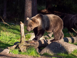 20210813Martinsel-1273.jpg