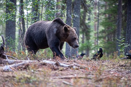 20210811Boreal_Tag1-0177.jpg