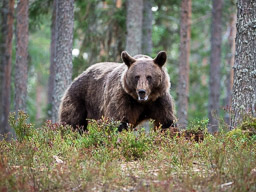 20210811Boreal_Tag1-0790.jpg