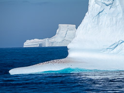 20250303South_Orkney-0128.jpg
